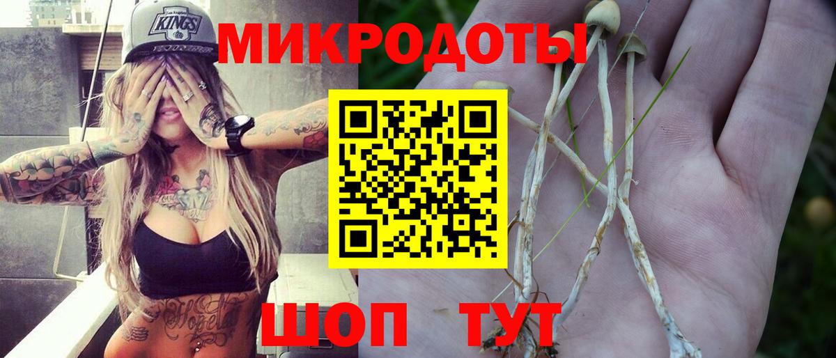 Псилоцибиновые грибы GOLDEN TEACHER Камень-на-Оби