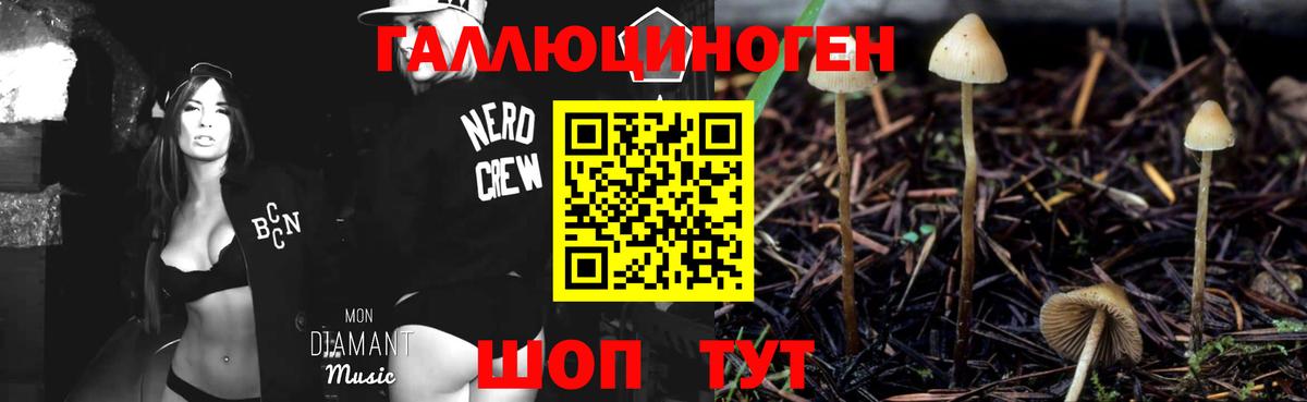 купить наркоту  Псилоцибиновые грибы Psilocybine cubensis  Вход с VPN  Камень-на-Оби 